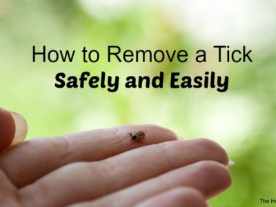 remove a tick safely