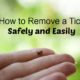 remove a tick safely