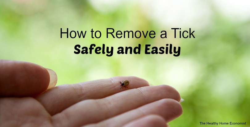 remove a tick safely