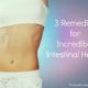 intestinal health