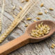 einkorn the healthiest wheat on wood table