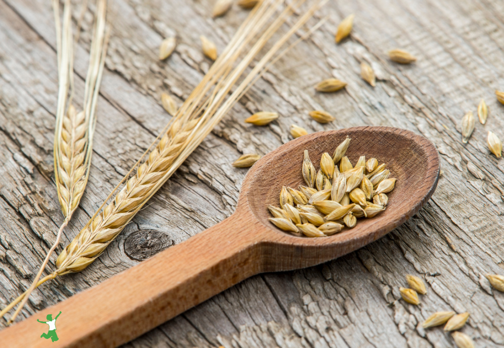 einkorn the healthiest wheat on wood table