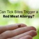 red meat allergy from tick bite