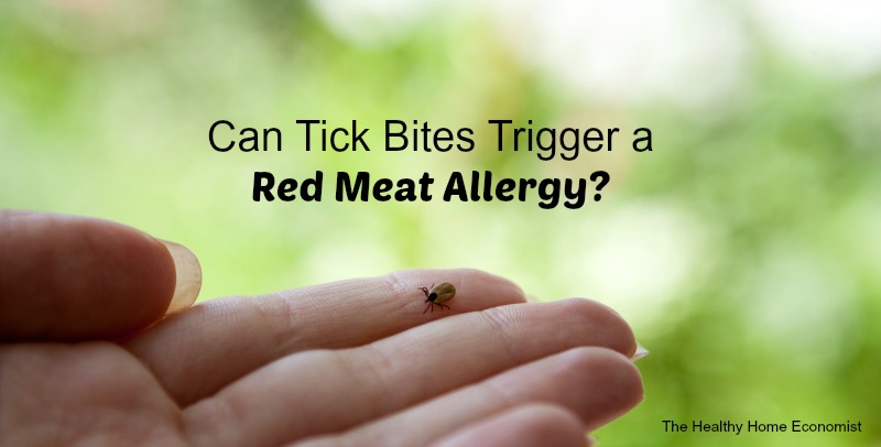 red meat allergy from tick bite