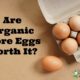 organic store eggs