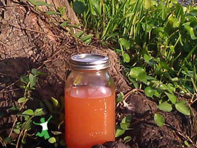 homemade shrimp stock in mason jar by lake