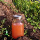 homemade shrimp stock in mason jar by lake
