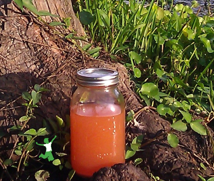 homemade shrimp stock in mason jar by lake
