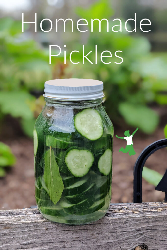 homemade fermented pickles in glass jar on wood fence