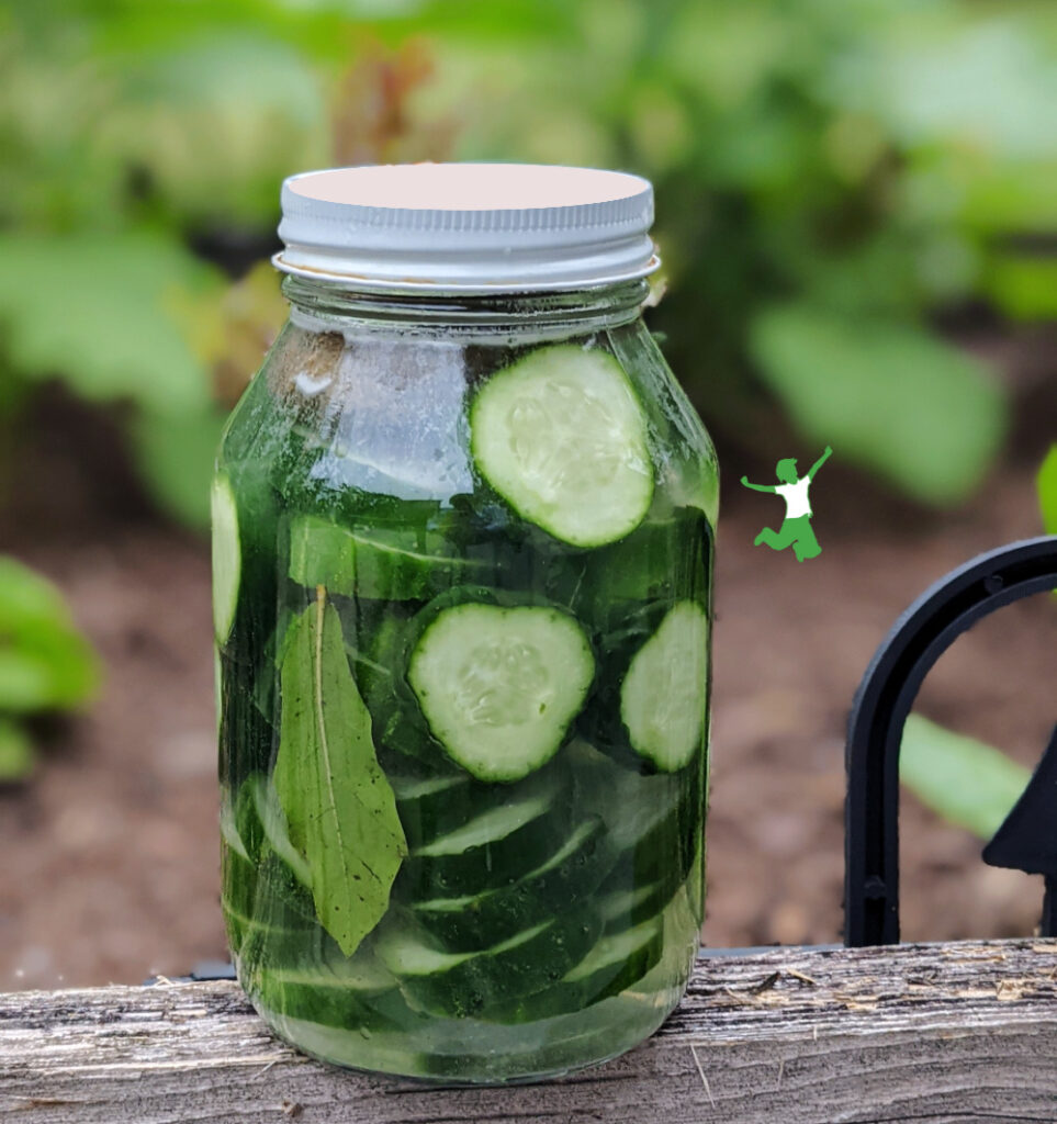 cultured cucumber chips in glass jar