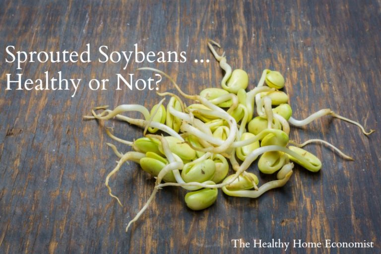 Sprouted Soy Healthy or Not? The Healthy Home Economist