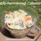 Probiotic Loaded Fermented Coleslaw