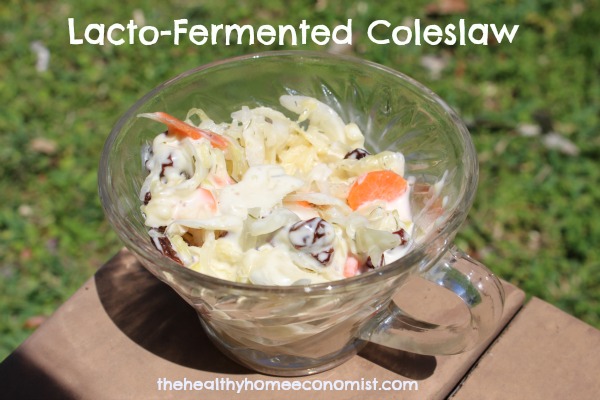 lacto fermented coleslaw