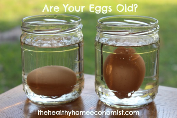 fresh eggs fresh eggs