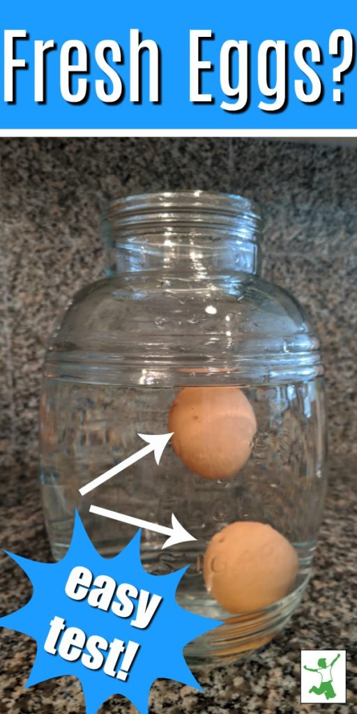 the float test for fresh eggs in large glass jar