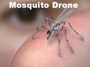 mosquito drones