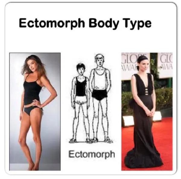 women with ectomorph body type