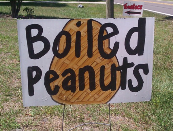 Boiled Peanuts