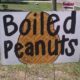 Boiled Peanuts Recipe (+ Video on How to Eat Them)