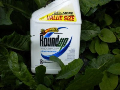 Roundup: Quick Death for Weeds, Slow and Painful Death for You