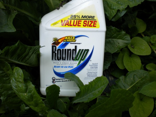 roundup is deadly 