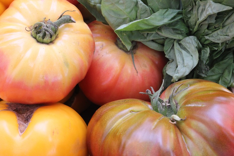 heirloom tomatoes on the vine