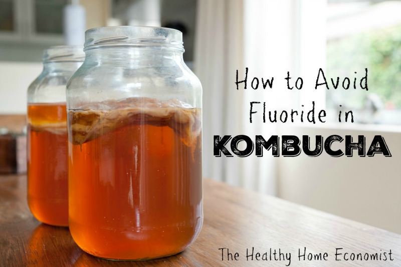 fluoride in home brewed kombucha jars on wooden counter