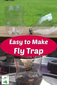 Quick and Easy Homemade Fly Trap (really works!) - Healthy Home