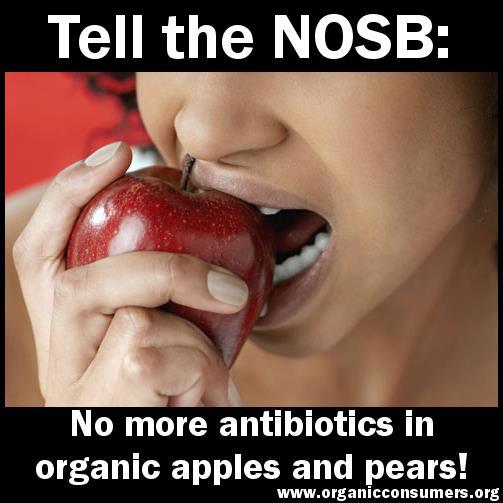 apple antibiotics