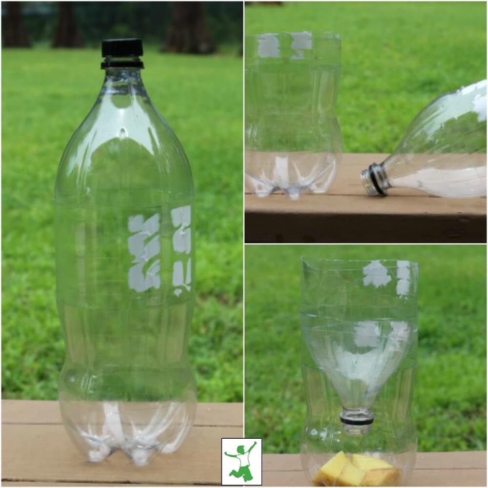 DIY Fruit Fly Trap - The Natural Nurturer