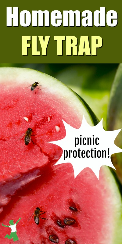 picnic watermelon with flies all over it