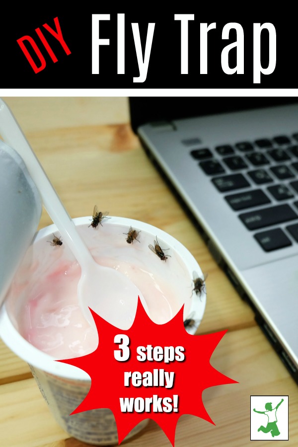 Quick and Easy Homemade Fly Trap (really works!) Healthy Home