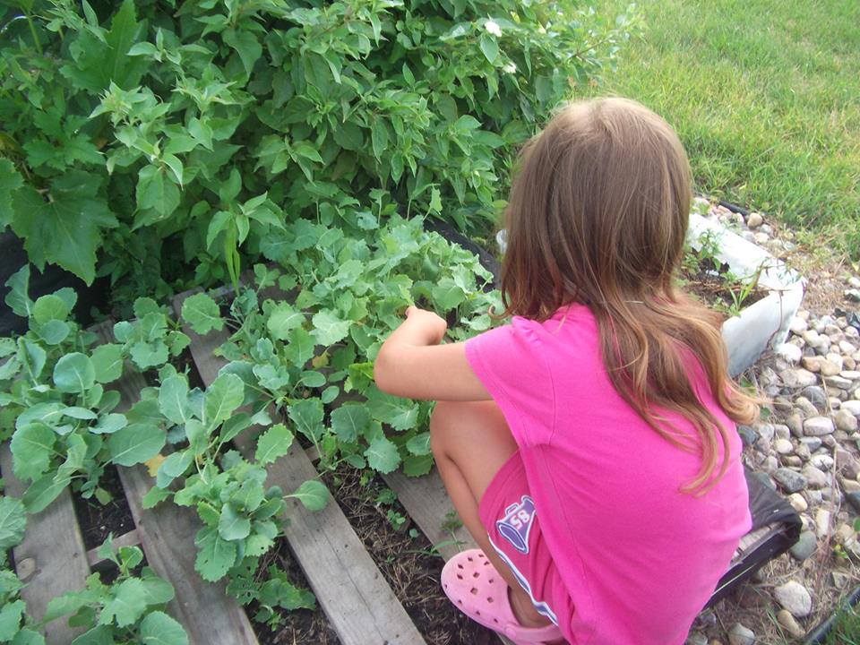 kitchen gardeners international