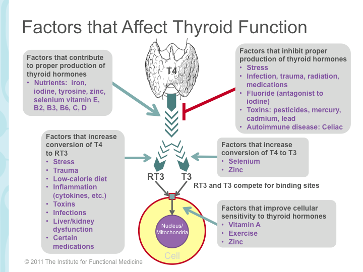 thyroid