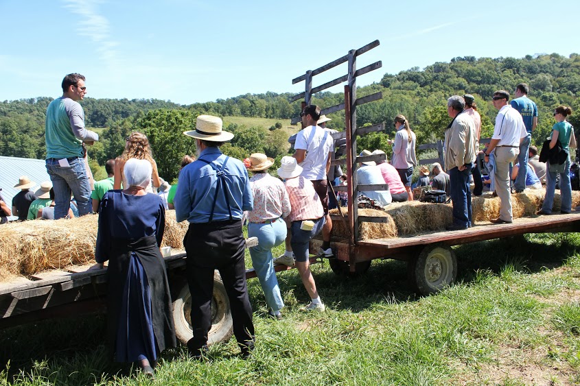 Hayride