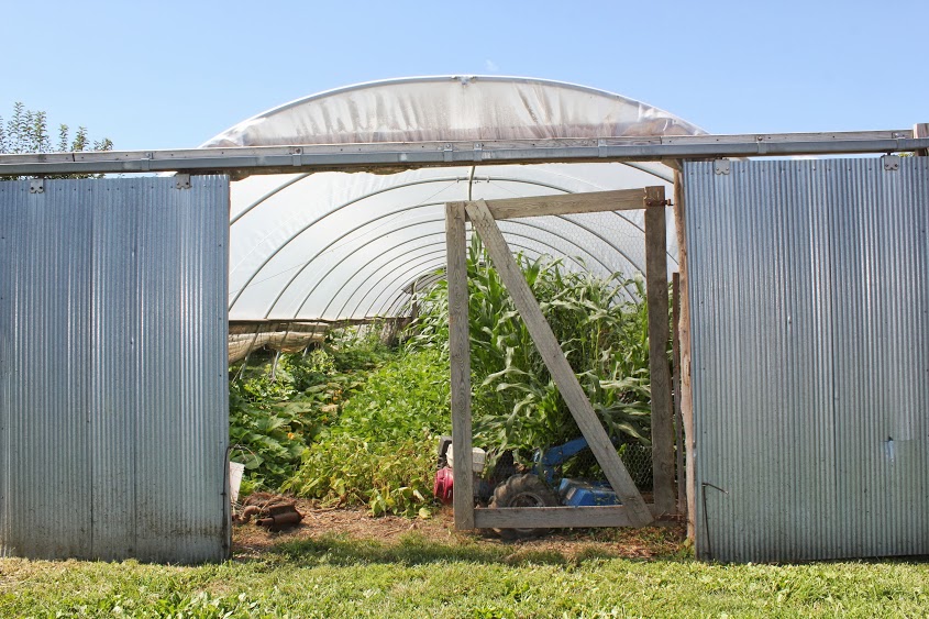 greenhouse