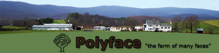 Polyface Farm