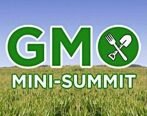 GMO Summit