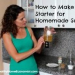 homemade soda starter