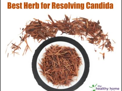 pau d'arco herb for resolving candida