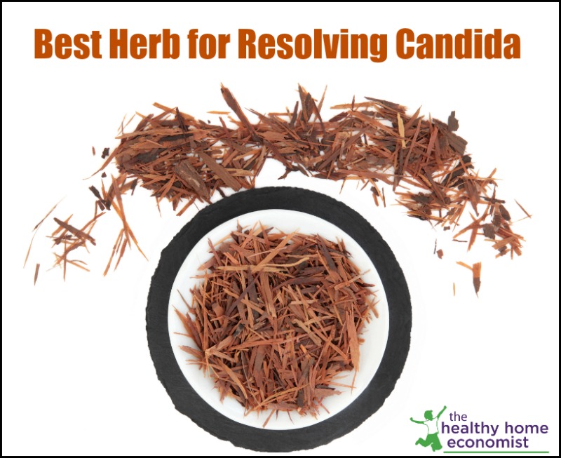 cut pau d'arco herb in a dish for resolving candida