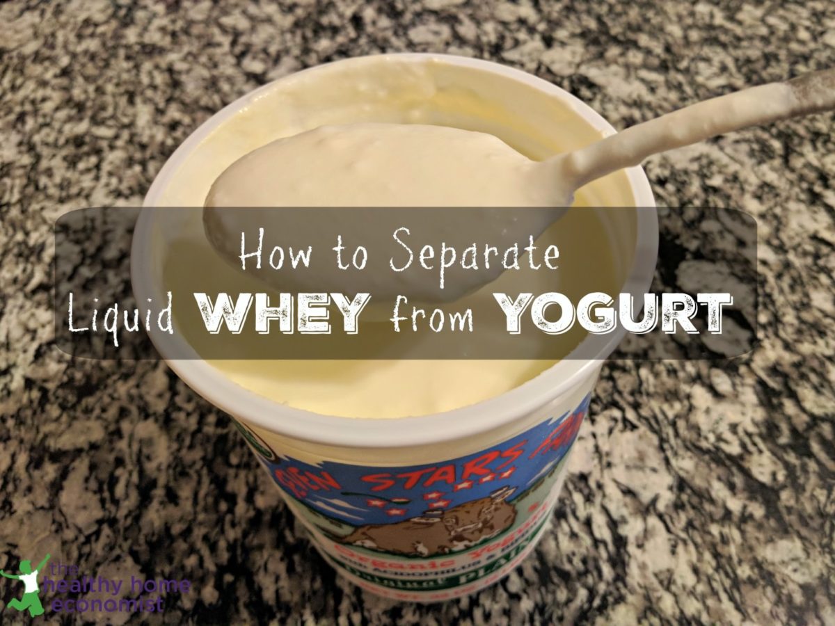 Fermented Foods Healthy Home Economist