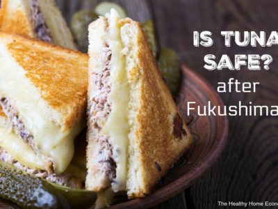 Is Tuna Safe to Eat Post Fukushima?