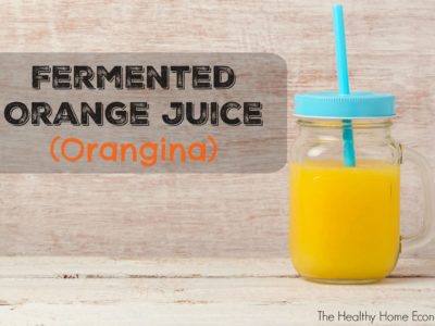 How to Make Orangina (Fermented Orange Juice) + Video 1