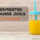 How to Make Orangina (Fermented Orange Juice) + Video 1