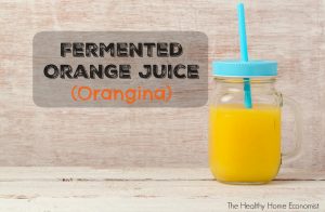 How to Make Orangina (Fermented Orange Juice) + Video