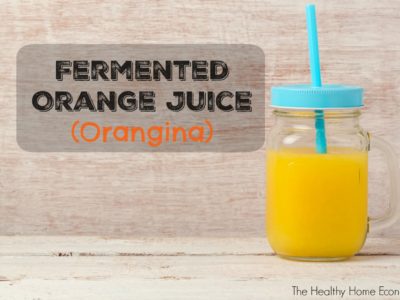 How to Make Orangina (Fermented Orange Juice) + Video