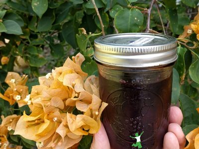 home canning without pectin