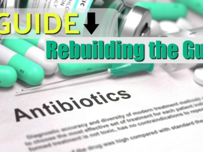rebuild the gut post antibiotics