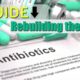 rebuild the gut post antibiotics